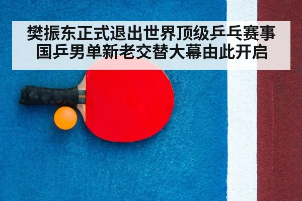 table tennis racket close up