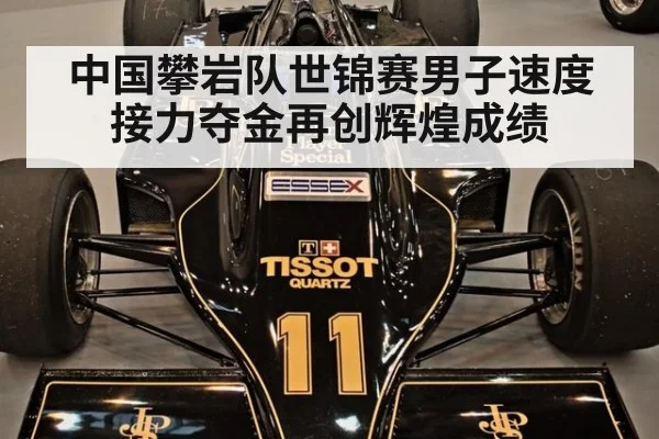 中国攀岩队世锦赛男子速度接力夺金再创辉煌成绩